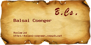 Balsai Csenger névjegykártya